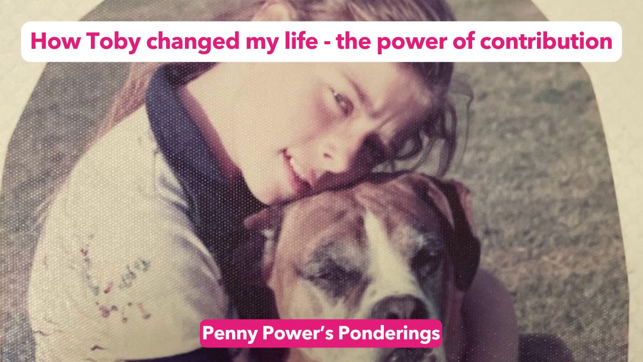 The Power of Contribution in Business and in Life